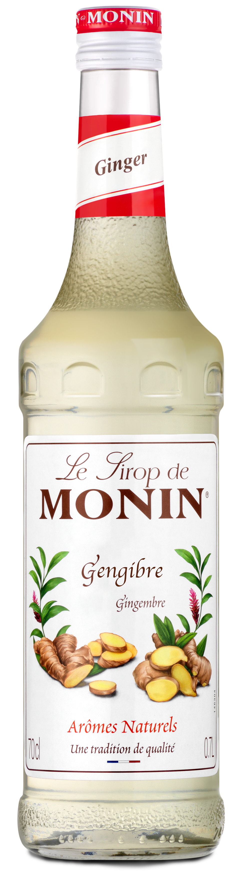 XAROPE MONIN 700ML GENGIBRE