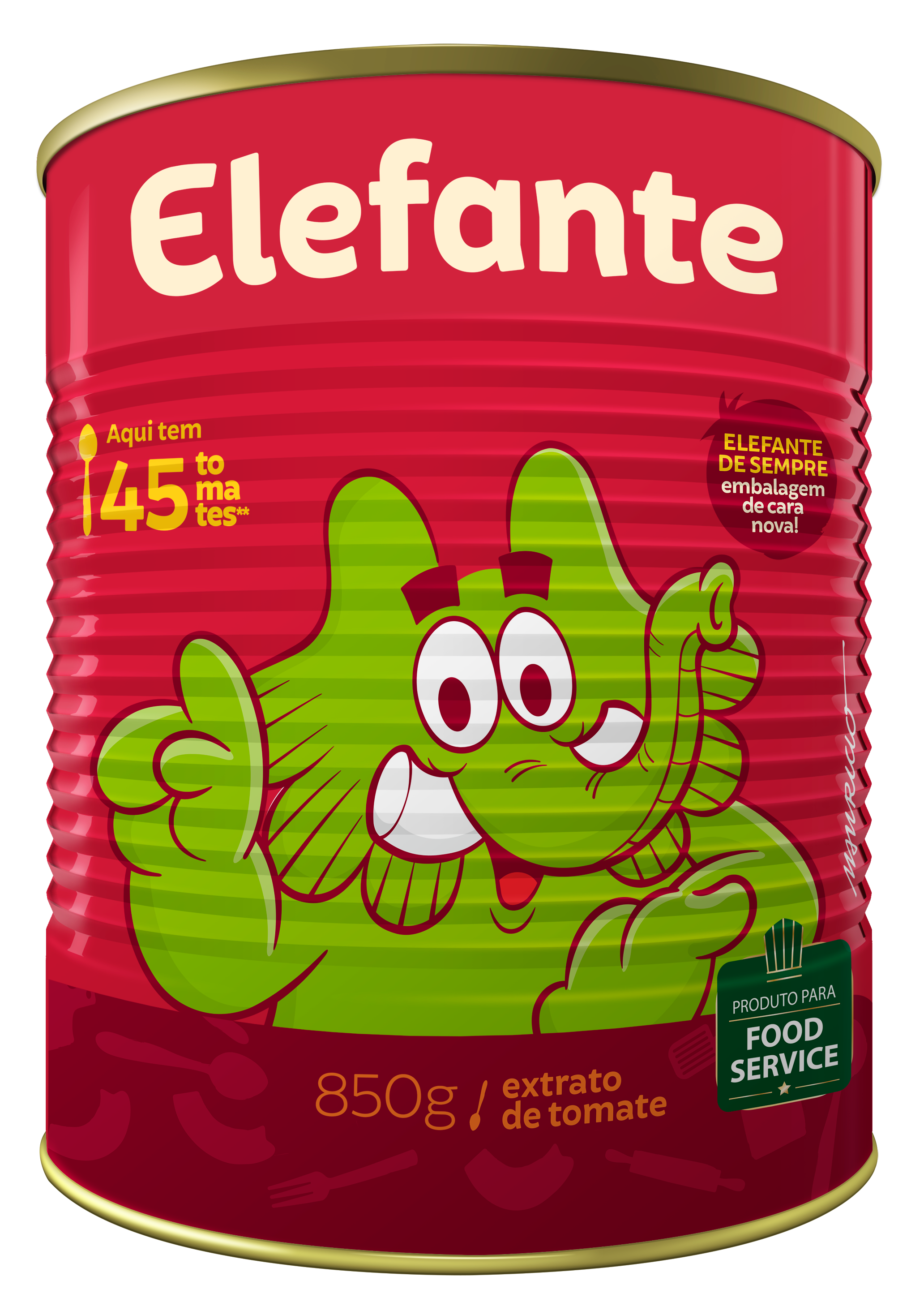 EXTRATO DE TOM. ELEFANTE 850GR LT