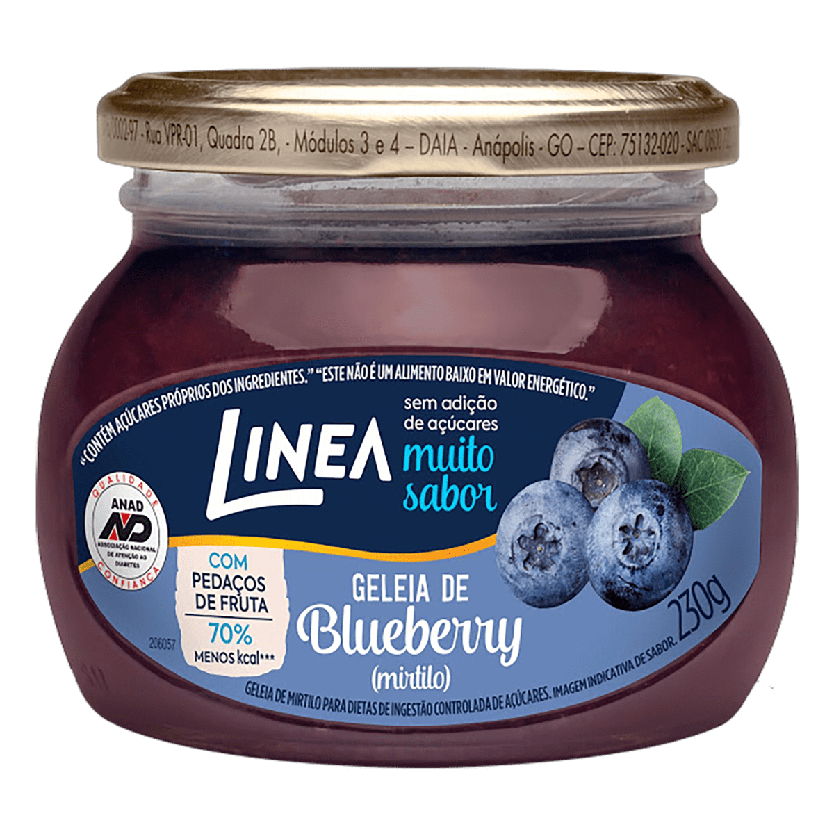 GELEIA DIET LINEA 230GR MIRTILO PT