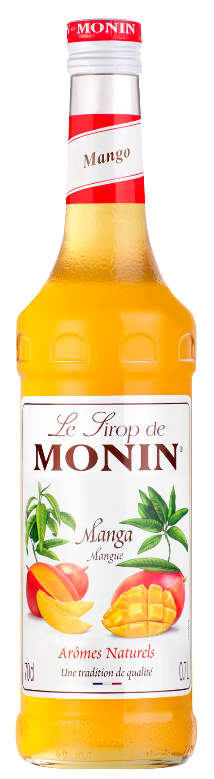 XAROPE MONIN 700ML MANGA